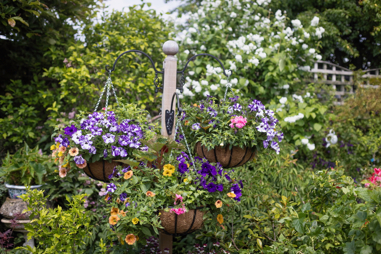 Cuckfield Road hanging baskets